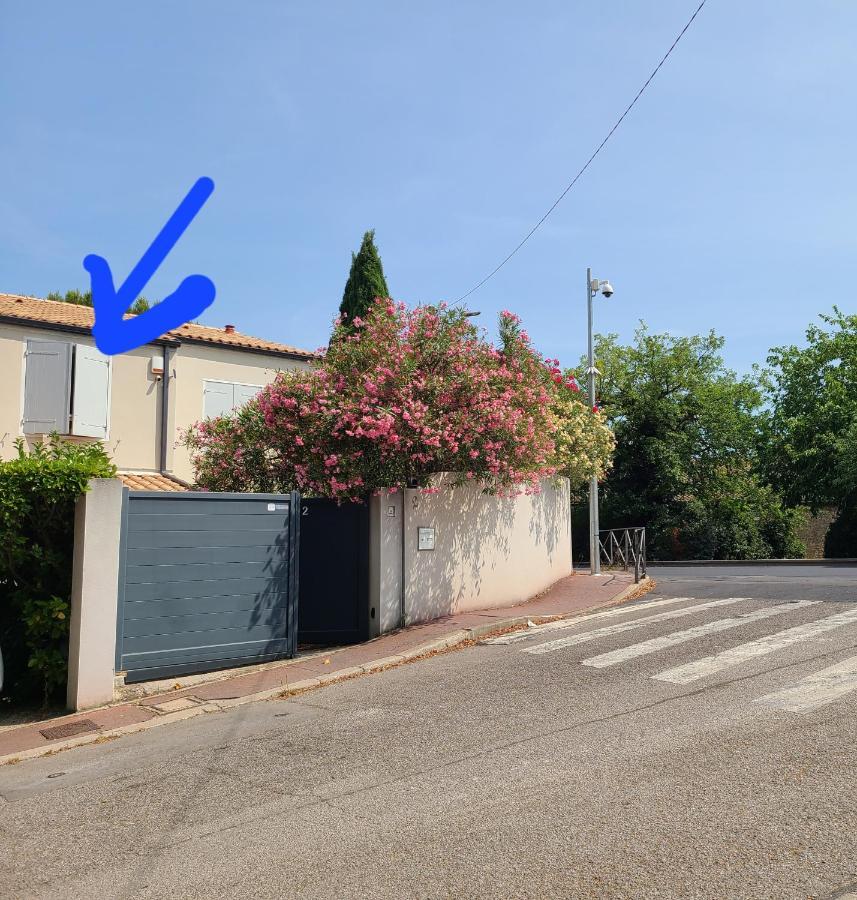 Chez Nous Dans Notre Petit Jardin Daire Montpellier Dış mekan fotoğraf