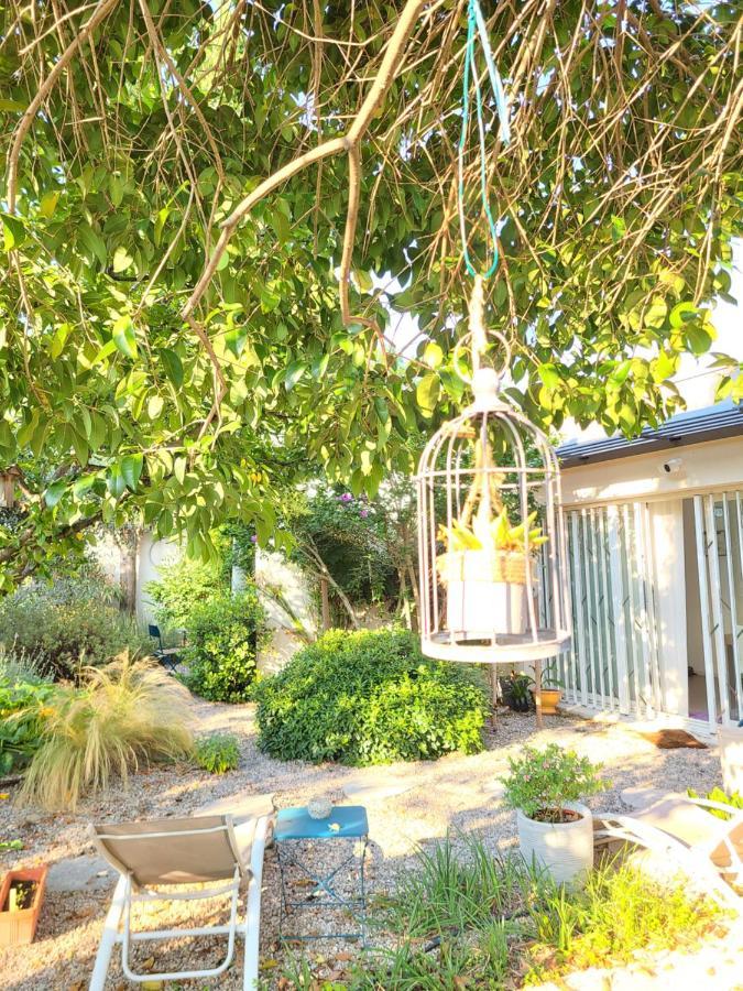 Chez Nous Dans Notre Petit Jardin Daire Montpellier Dış mekan fotoğraf